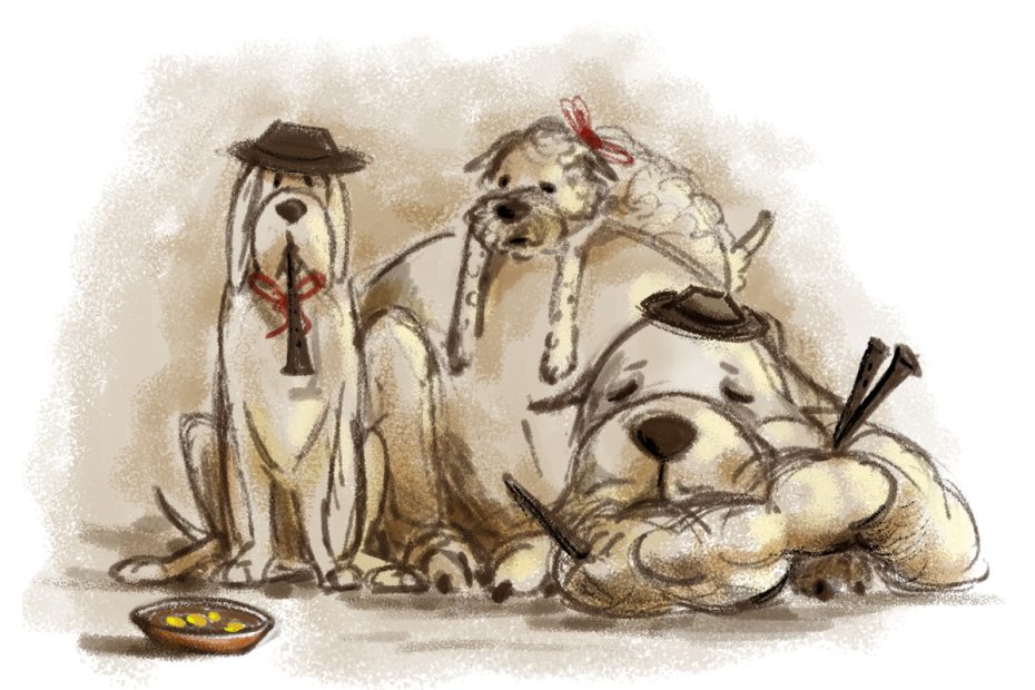 Copertina Cani