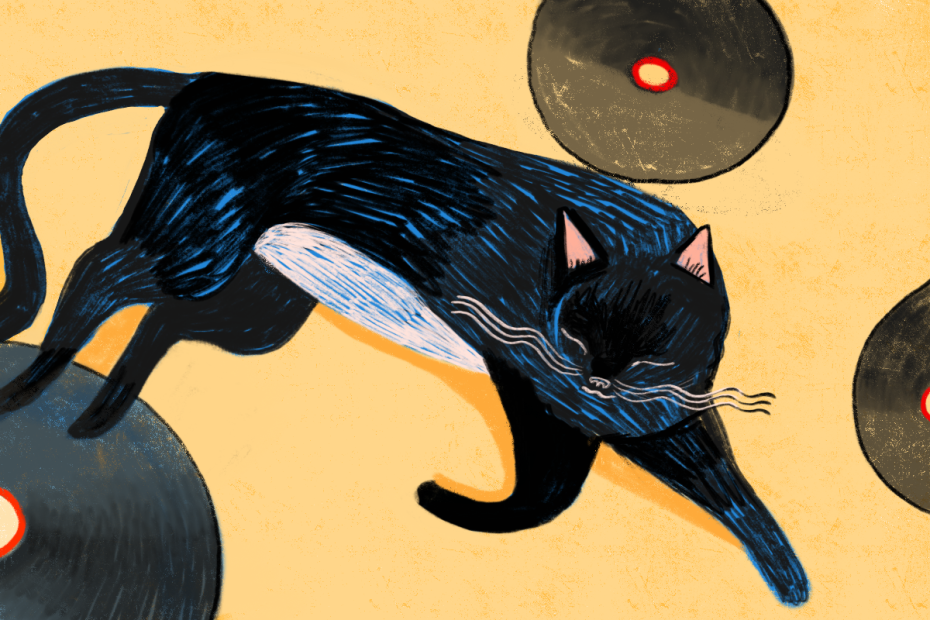 GATTO CHE LEGGE PREVERT copertina