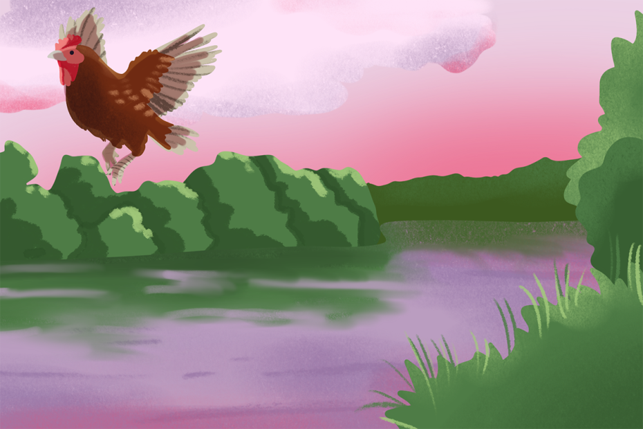 IL GALLO NEL FIUME copertina