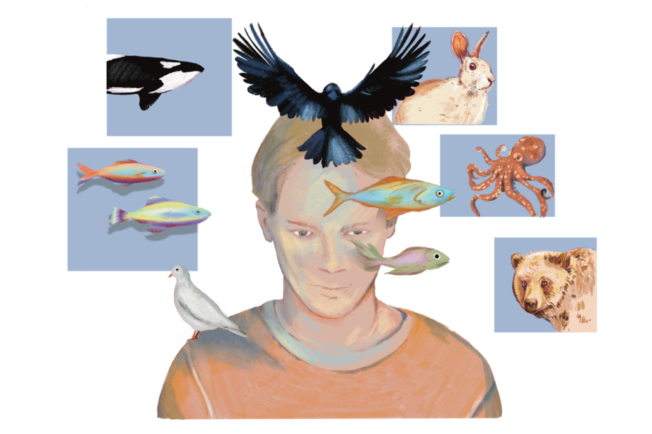 OMICIDIO copertina